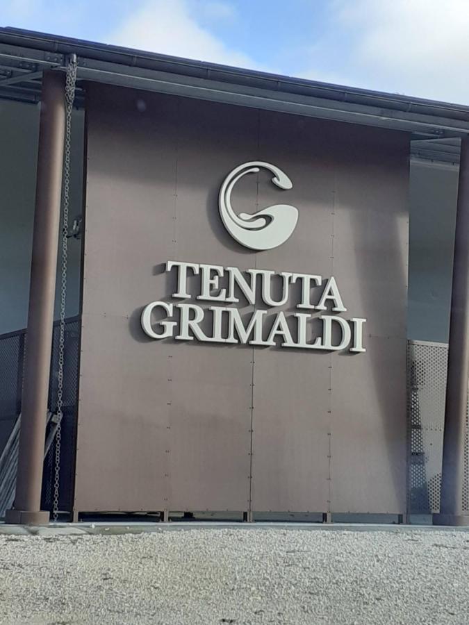 Tenuta Grimaldi Wine Resort Matelica Exterior foto